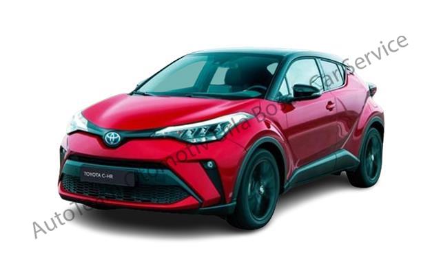 İzmir Toyota Servisi
